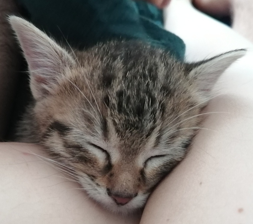 Милый Рикки)