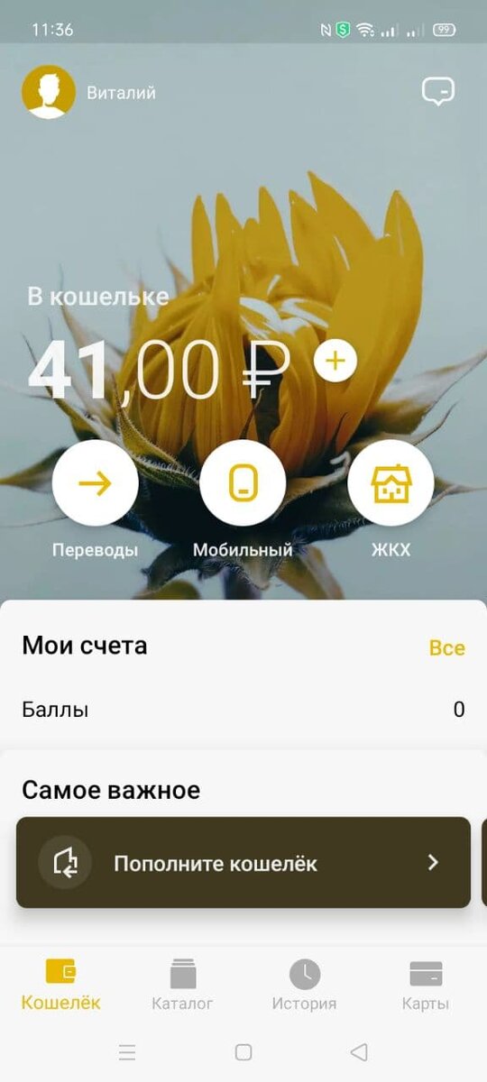 скрин автора. интерфейс приложения