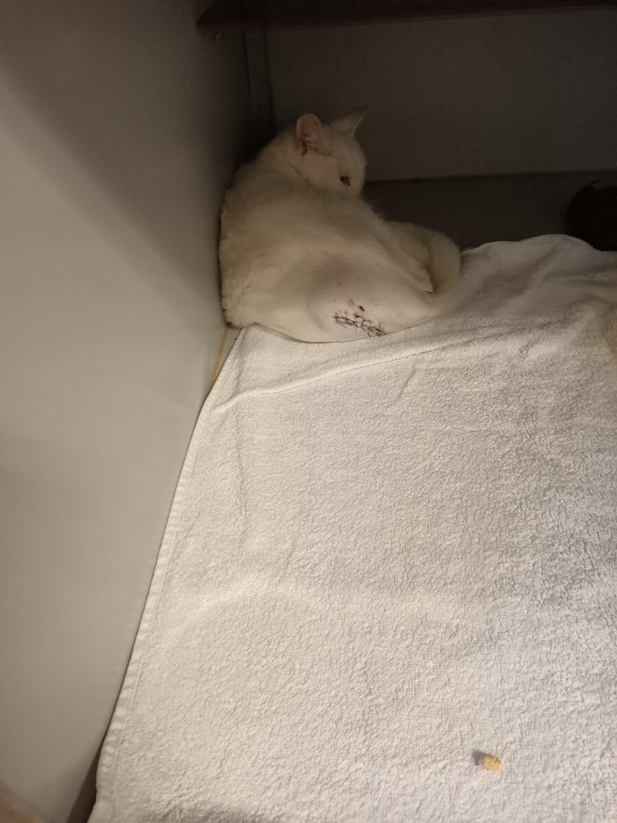 После операции.