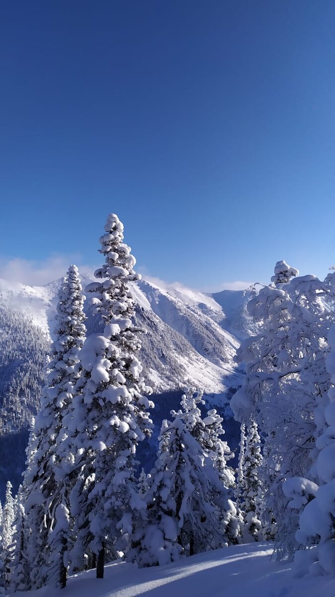 Мамай. Восточная Сибирь. Бурятия 
