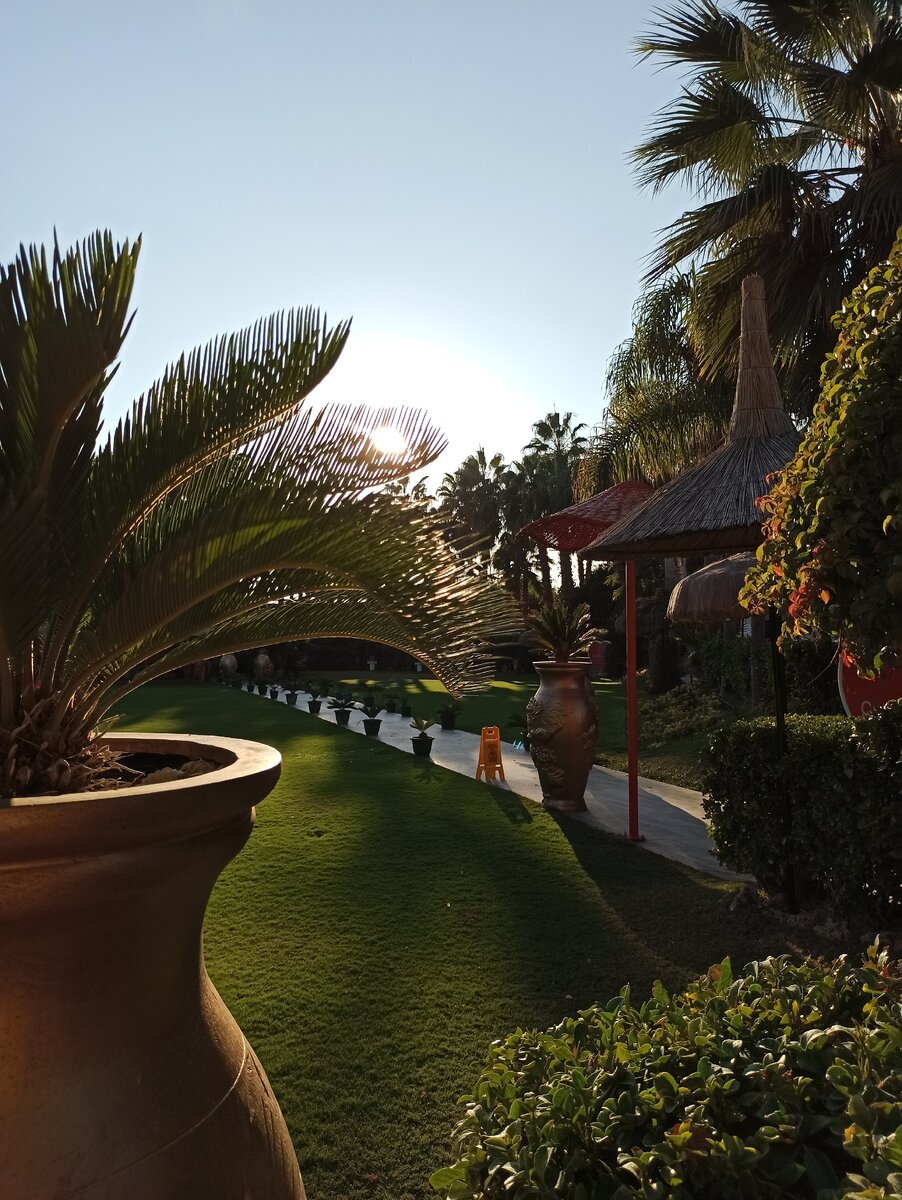 территория отеля. фото из личного архива