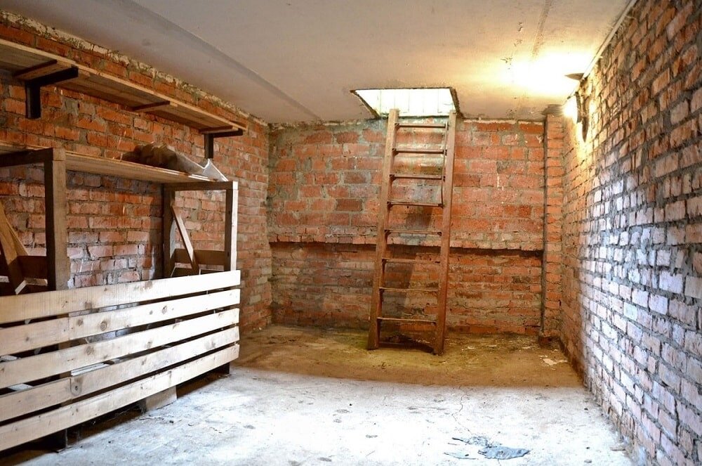 Выращивание грибов вешенок в домашних условиях как бизнес.