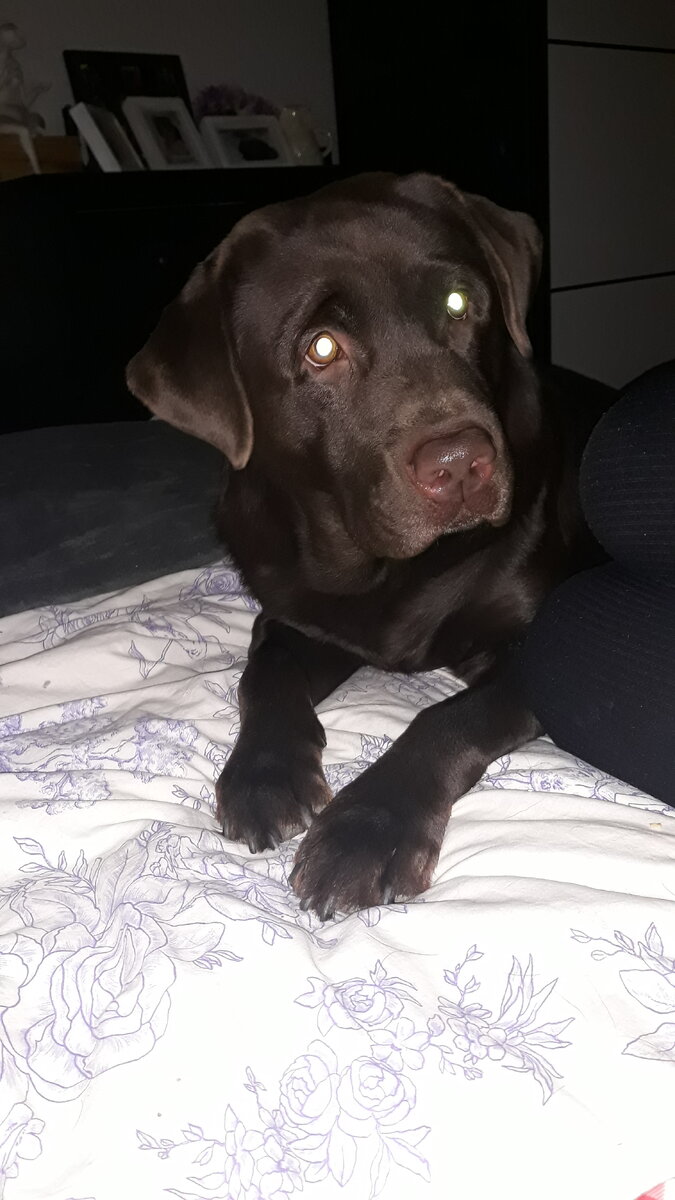 Ганя пришел спрашивать, как решить проблему первенства!