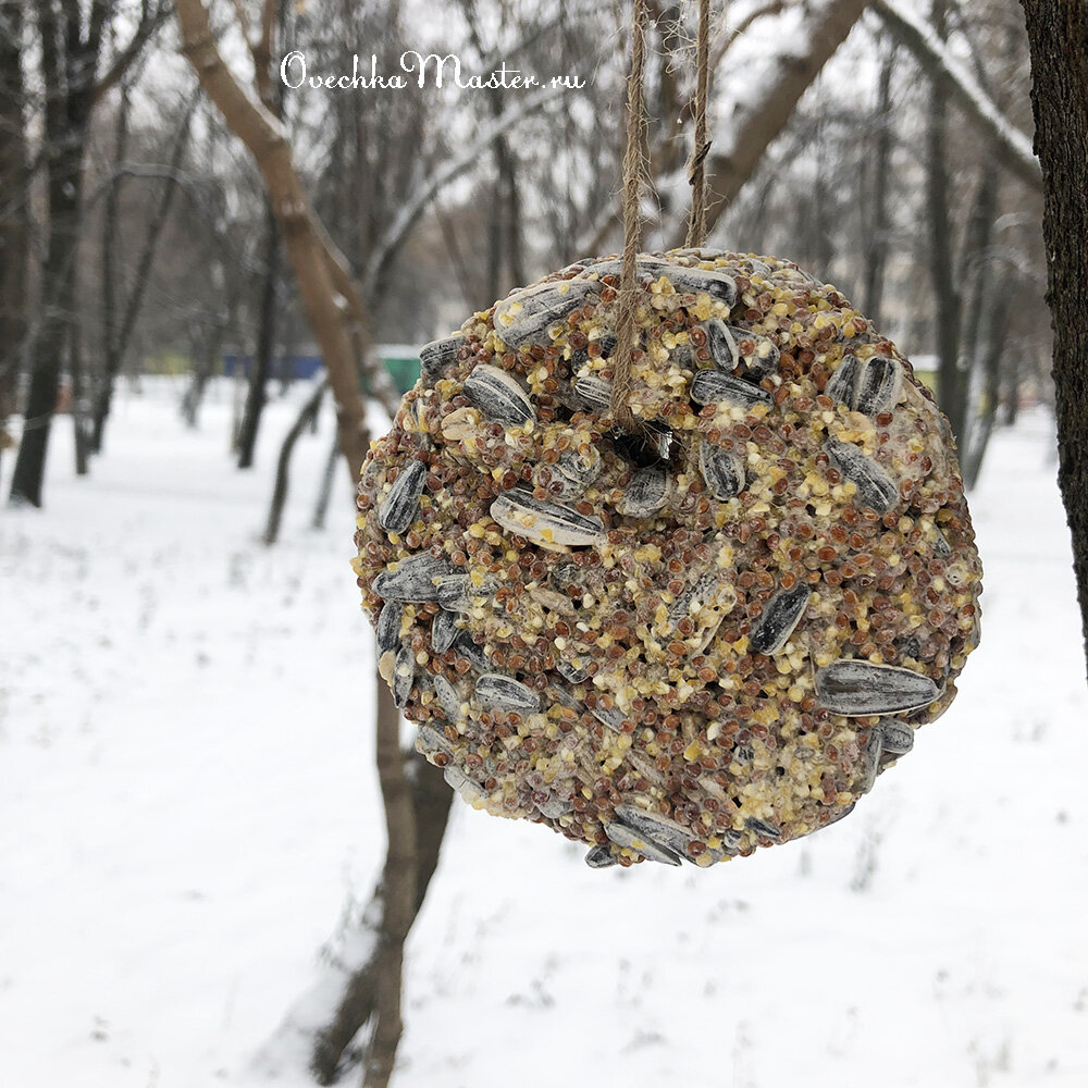 Кормушка для птиц может быть съедобной — Дом