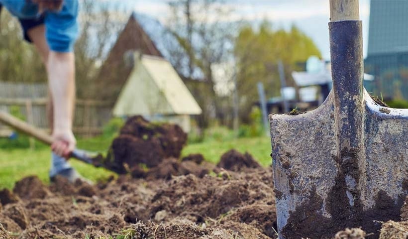 Фото из Яндекс картинки.