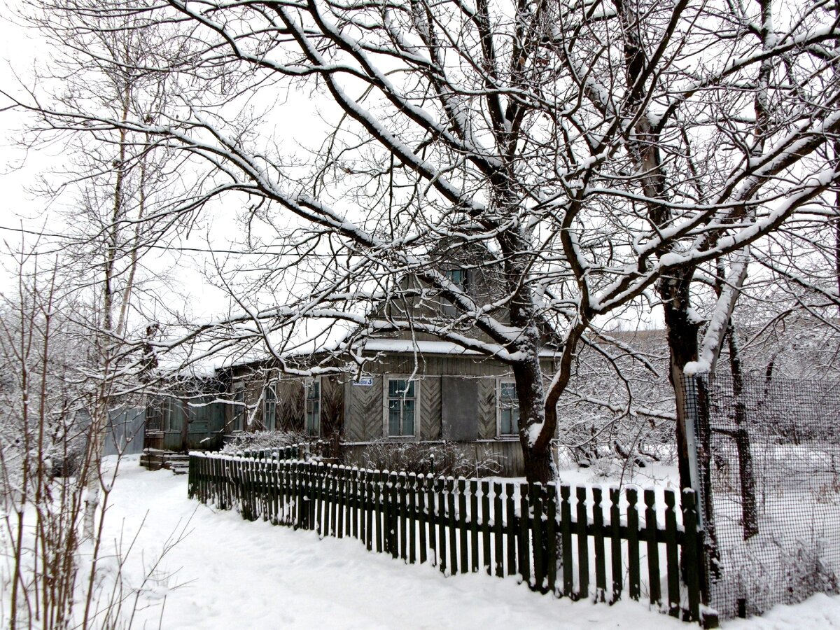 Согласитесь, красиво! Даже сказочно. Фото автора