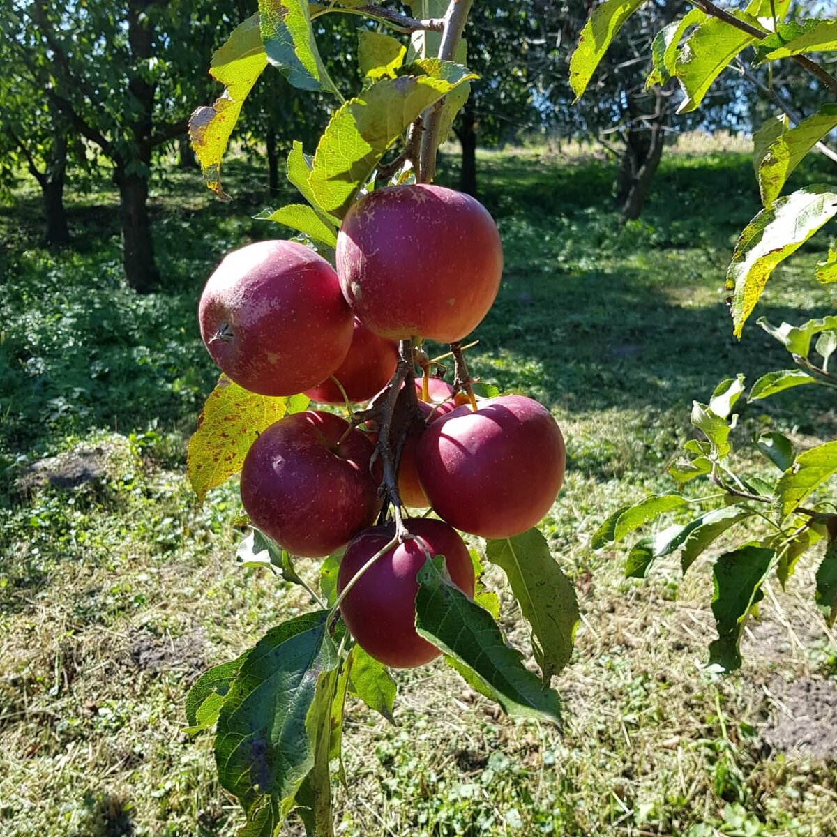 Фото из личного архива