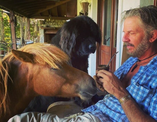 любимый пони