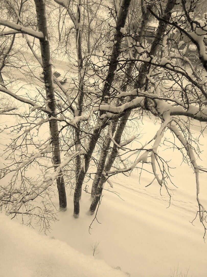 Весна в Барнауле конец марта 2018 года вид из окна