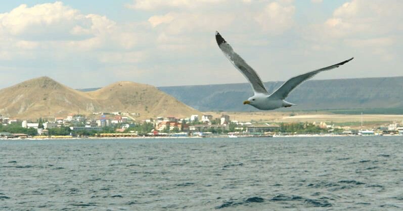 Вид на Коктебель с моря