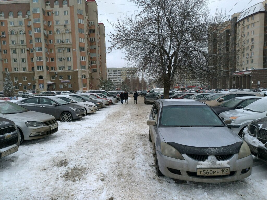 загружено из Яндекс картинки.