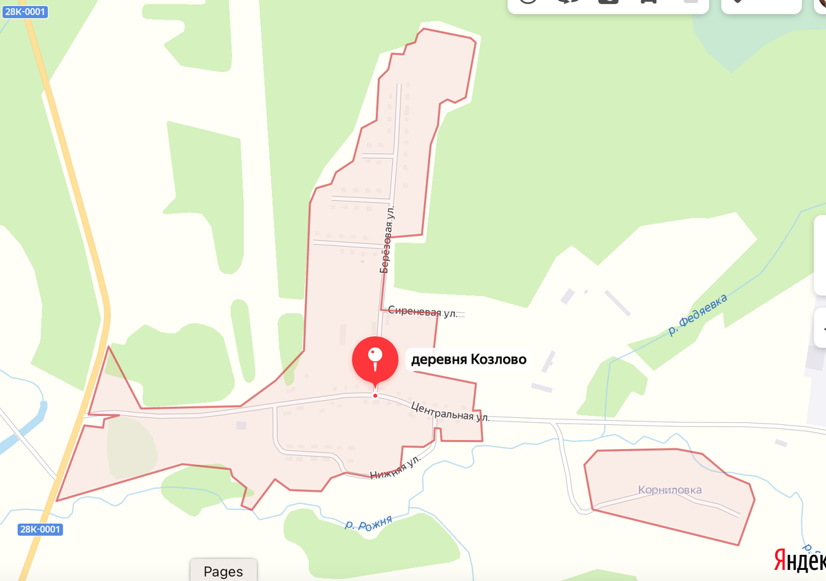 А так выглядит и само Козлово, если верить Яндекс.Картам