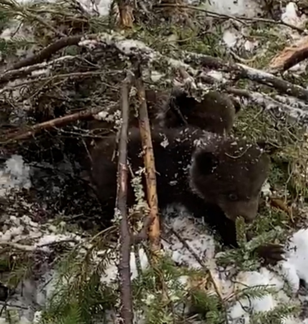 фото: https://vk.com/