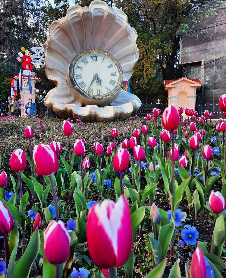 Фото:моё Парк Ривьера Сочи