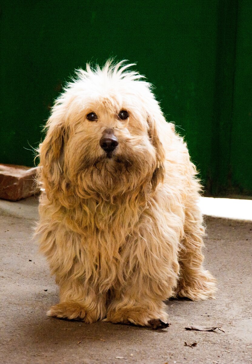 Милый - ТЯПА