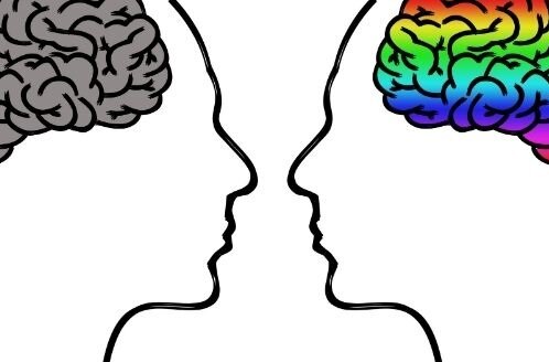 Изображение взято из открытых источников