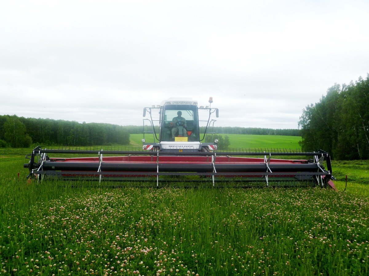 Фото Татьяны Костыревой