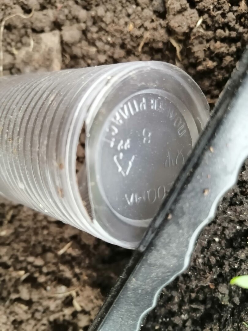 маленькими ножницами срезаю с двух сторон