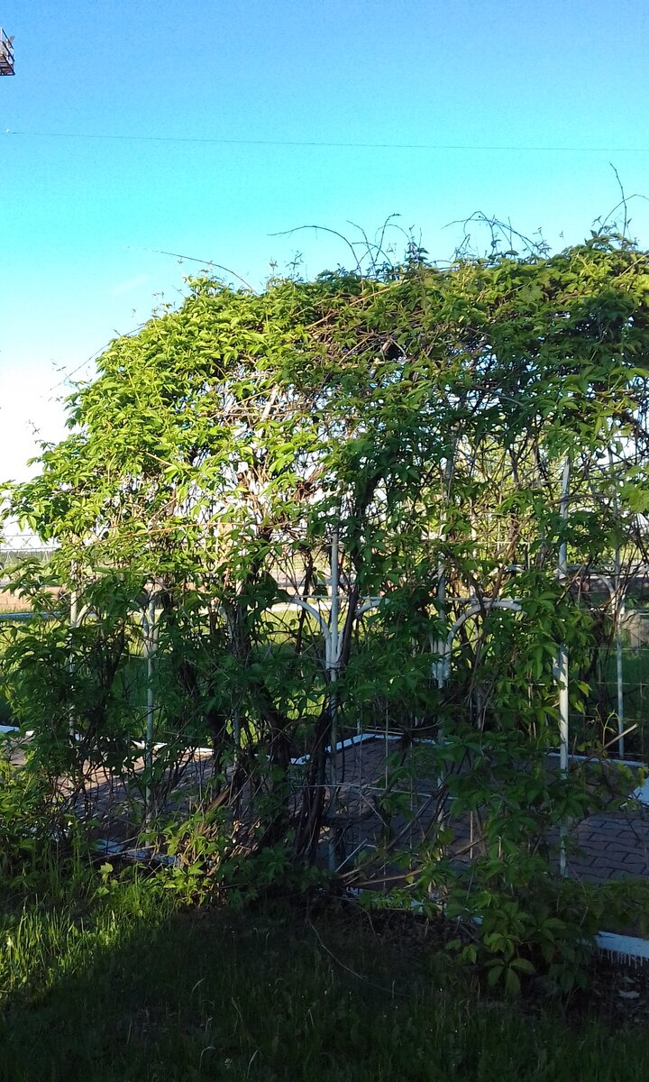 Философская прогулка