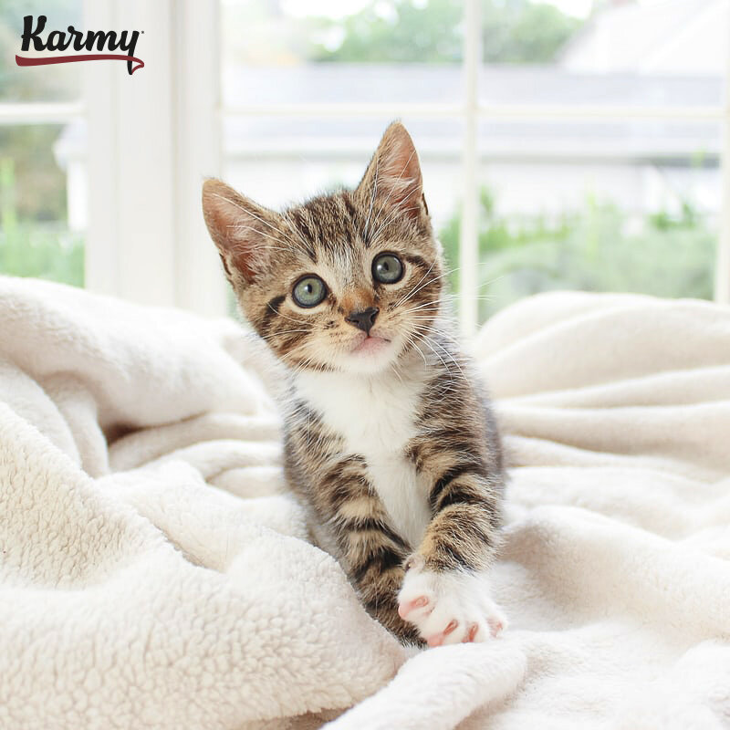 Авторское изображение с использованием картинки с фотостока "Unsplash"