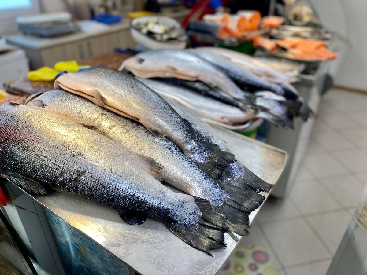 Ценный и вкусный лососевый вид – семга. Свежая. Магазин буквально в пяти минутах от мойки.