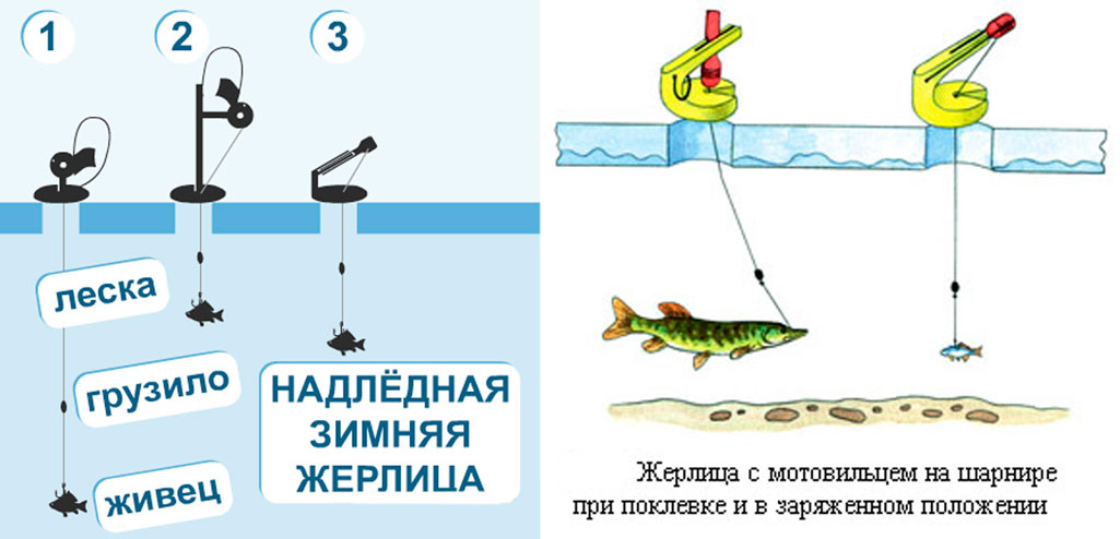 Правильная жерлица на щуку