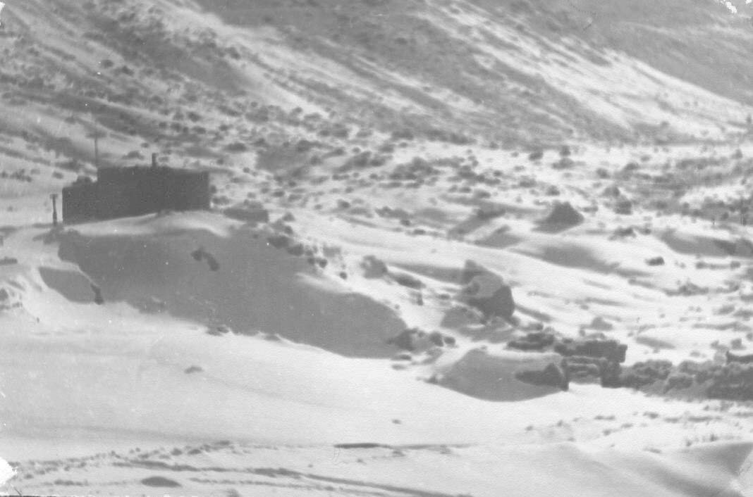 Фото из интернета.