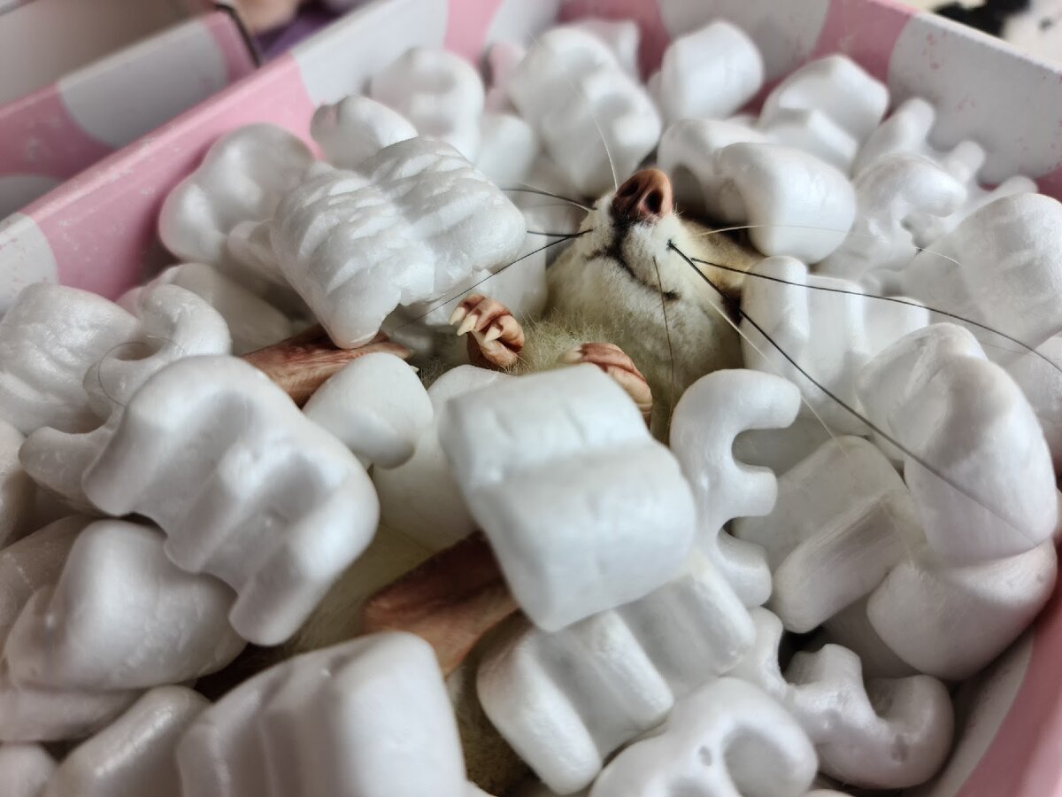 Новый зверь готов к отправке👌