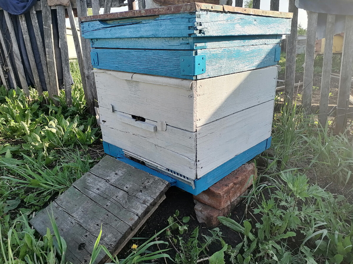 Фото автора.