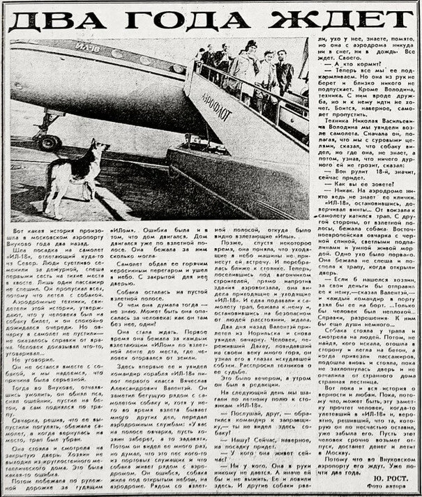 Статья в газете. Все фото взяты из открытых источников.