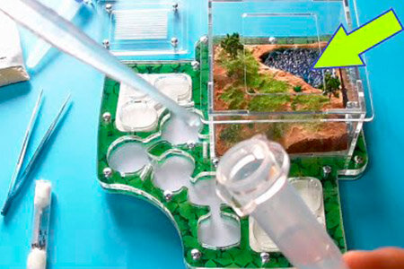 Первый – использовать двойную крышку. Изготовители качественных муравьиных ферм гарантируют, что она обеспечивает надежную изоляцию муравьиного сообщества.