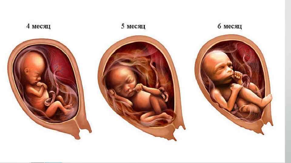Изображение взято из Яндекс.Картинки.