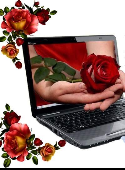 Фото с интернета.