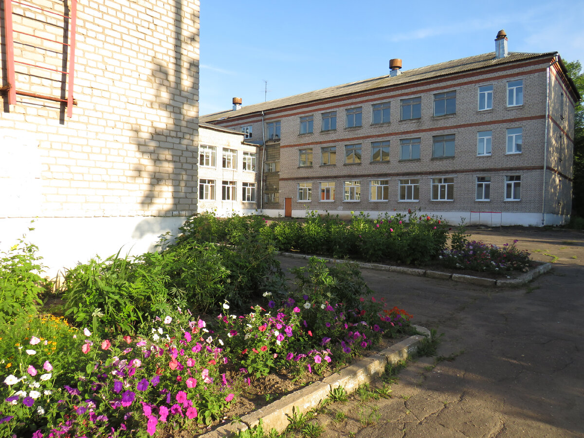 Школа на моей родной  улице Обнорского