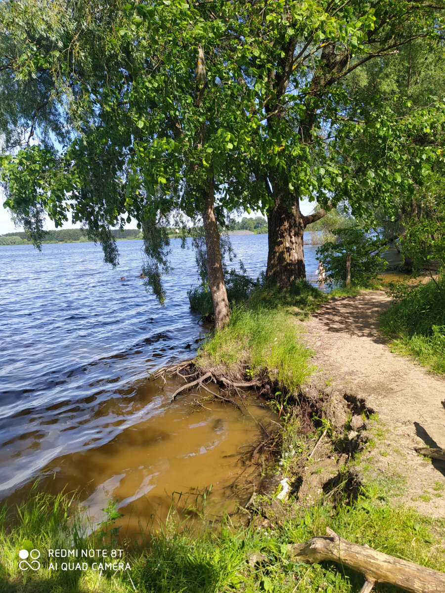 

     Вот такая замечательная аллея ведёт к морю.  Воздух просто потрясающий. Дышится свободно и легко. Все для оздоровления и закаливания.