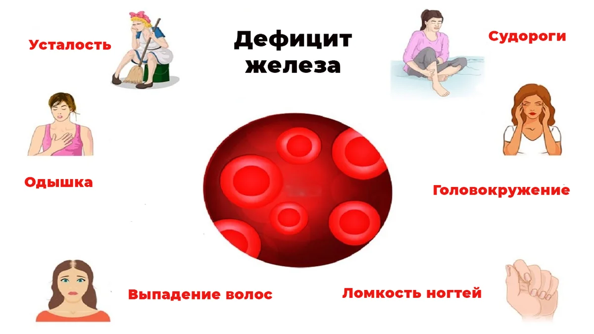 К анемии может привести недостаток