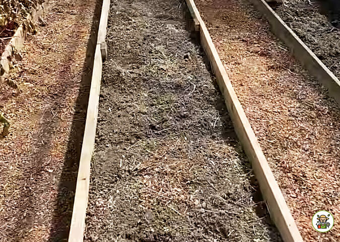 Теплица освобождена от растительных остатков