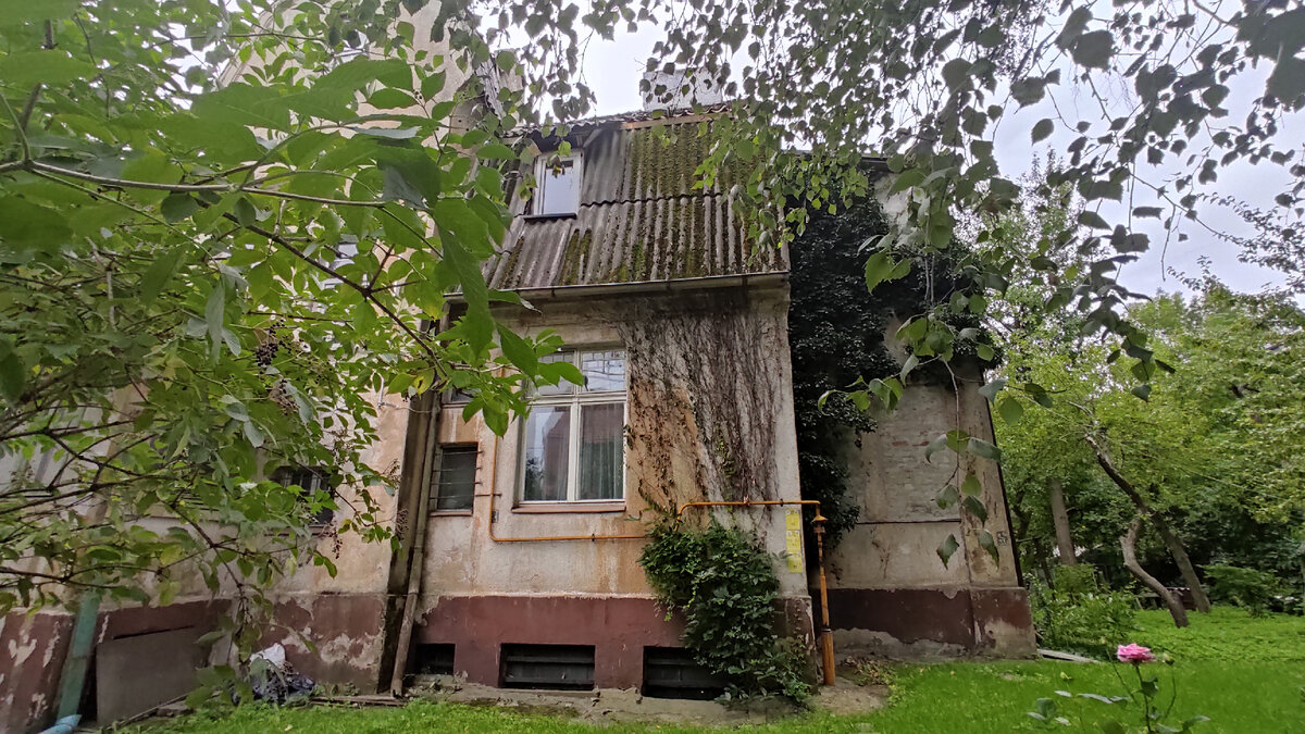 Фото автора.