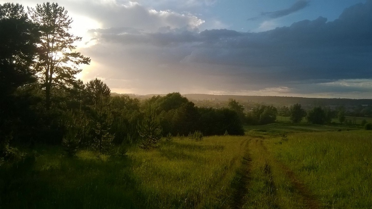 Дорога домой