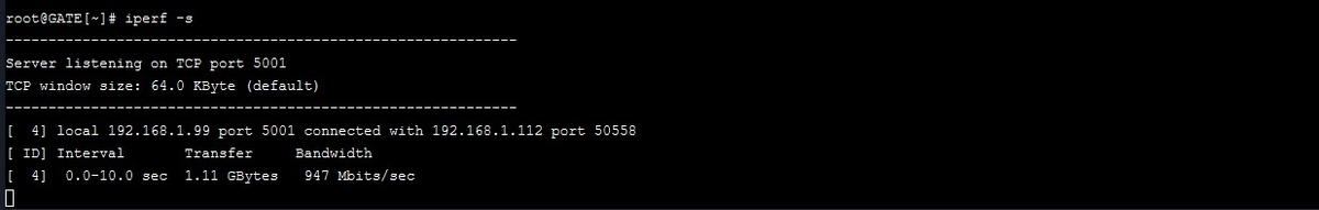 Вот скриншот из FreeNAS, там запущена серверная часть