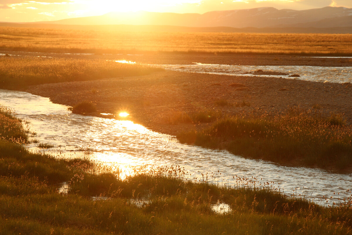 Золотая река Ак-Аллаха, плато Укок, Республика Алтай