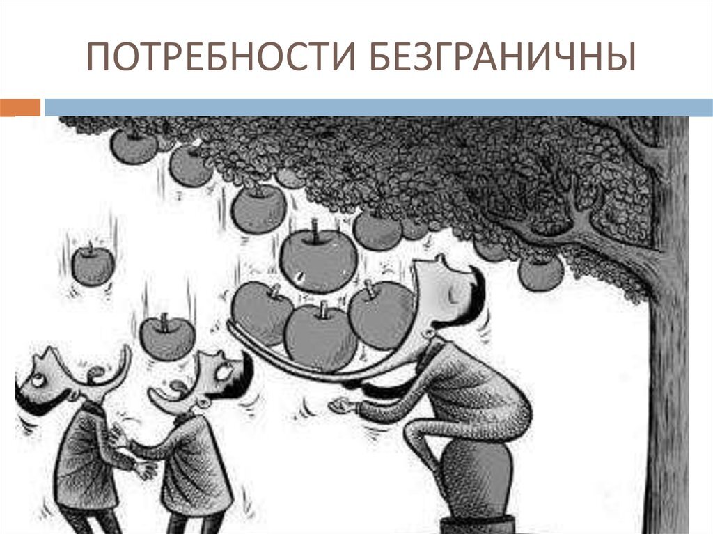 Фото из Интернета.