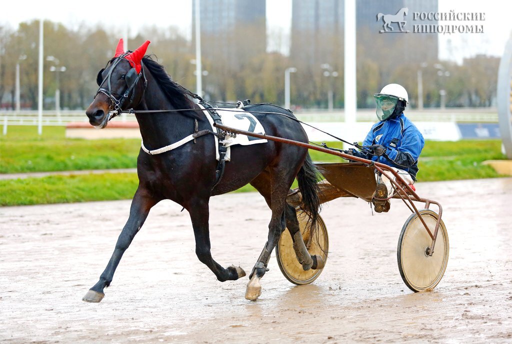 Я и Гуччи Син, ЦМИ, фото Веры Константиновской