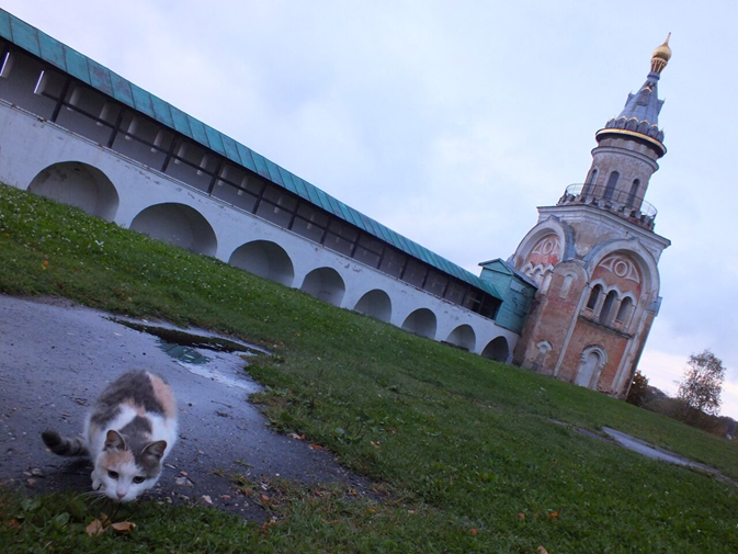 Фото А. Д. Михайловский.