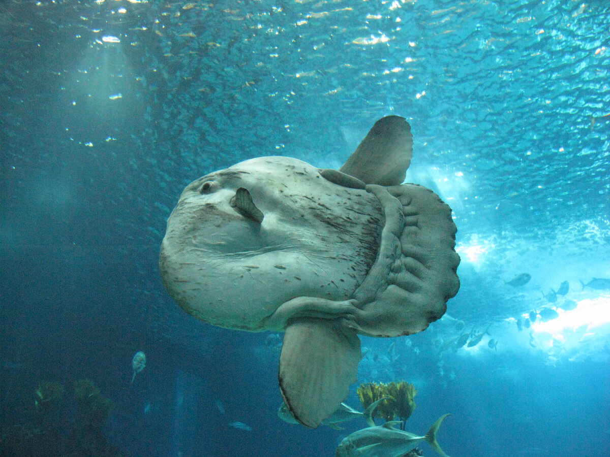 Источник: yandex.ru 