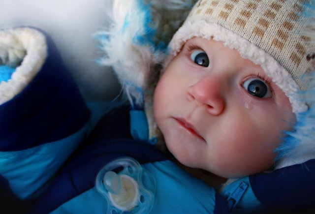 Изображение на обложке: Shutterswtock / Ann Zhdanko 