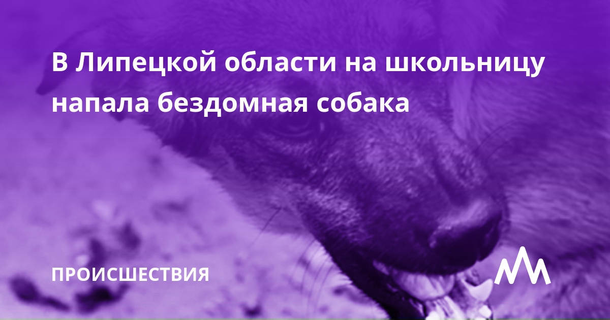 Из открытых источников.