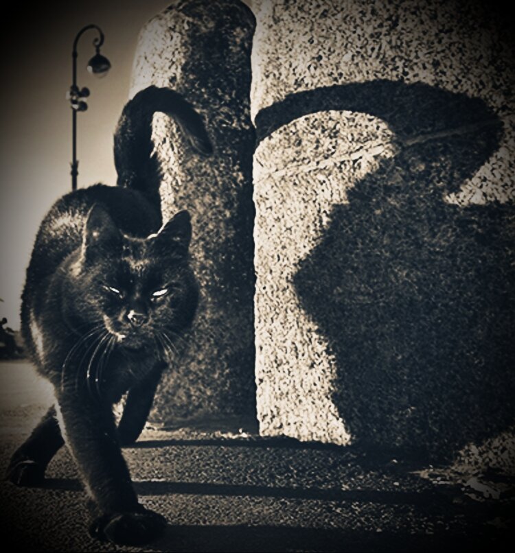 Все изображения в статье - интернет.