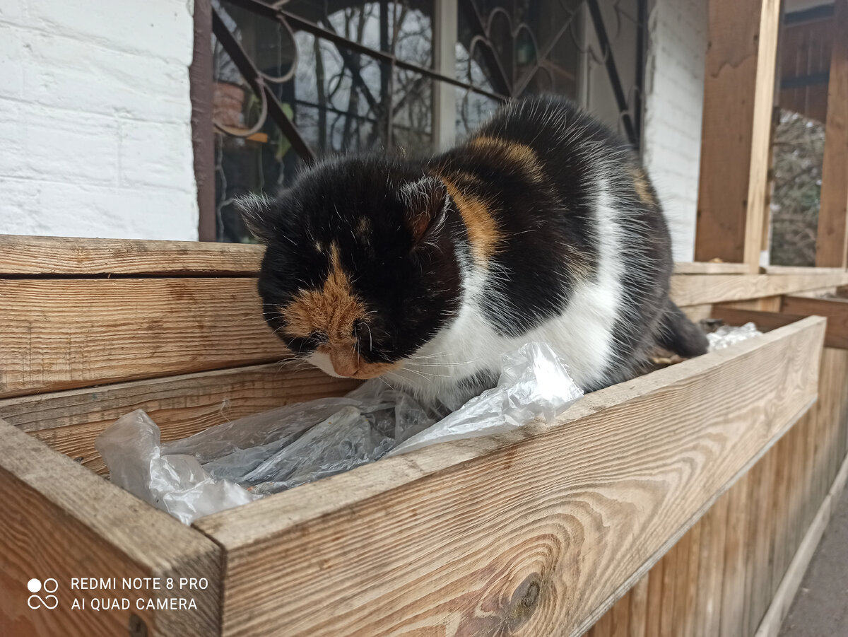 Норочка на улице