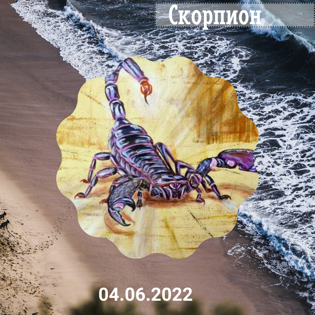 Скорпион - 04.06.2022